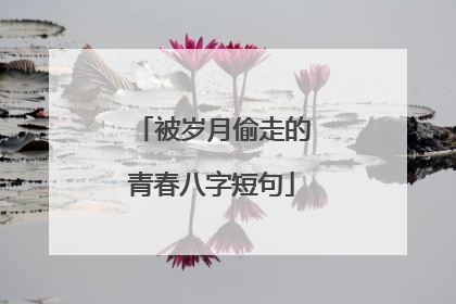 被岁月偷走的青春八字短句