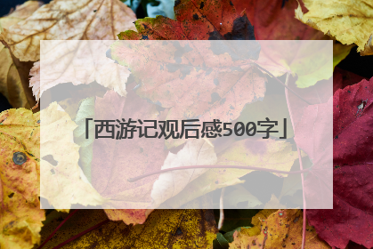 西游记观后感500字