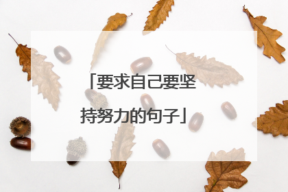 要求自己要坚持努力的句子