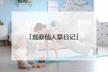观察仙人掌日记