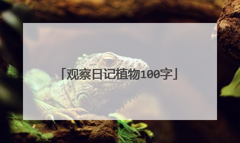 观察日记植物100字