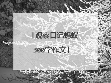观察日记蚂蚁300字作文