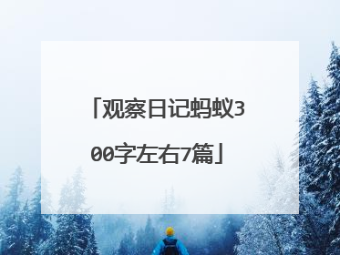 观察日记蚂蚁300字左右7篇