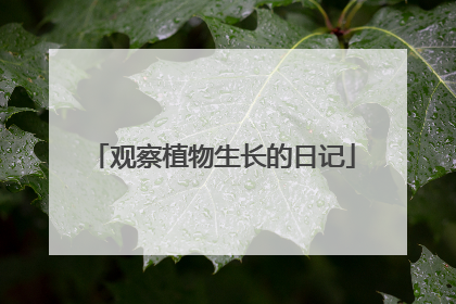 观察植物生长的日记