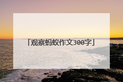 观察蚂蚁作文300字