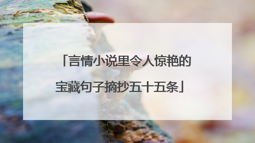 言情小说里令人惊艳的宝藏句子摘抄五十五条