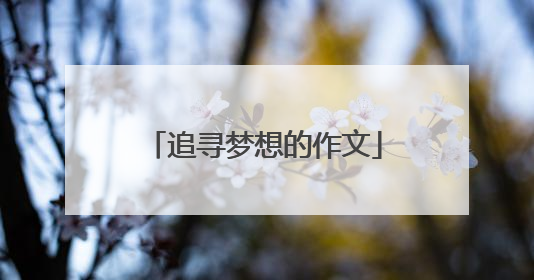 追寻梦想的作文