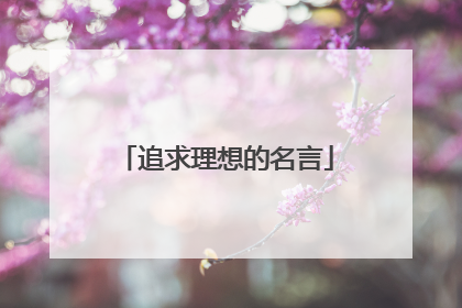 追求理想的名言