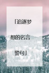 追逐梦想的名言警句
