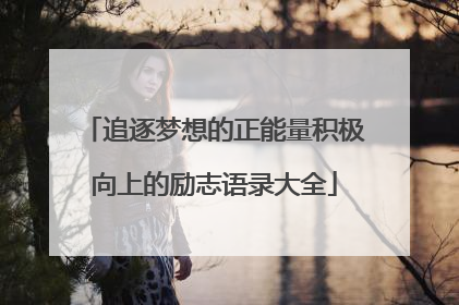 追逐梦想的正能量积极向上的励志语录大全