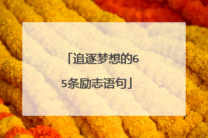 追逐梦想的65条励志语句