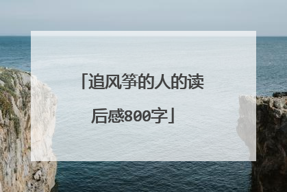 追风筝的人的读后感800字