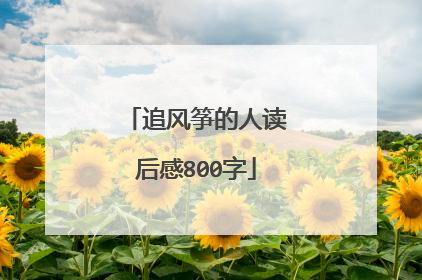 追风筝的人读后感800字