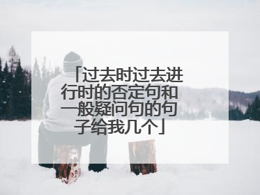 过去时过去进行时的否定句和一般疑问句的句子给我几个