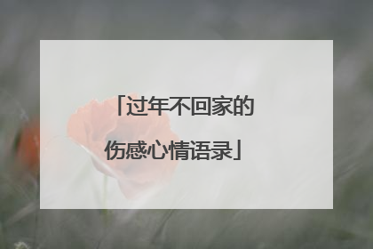 过年不回家的伤感心情语录