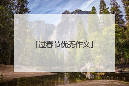 过春节优秀作文