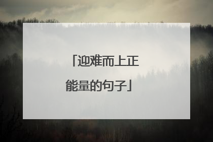 迎难而上正能量的句子