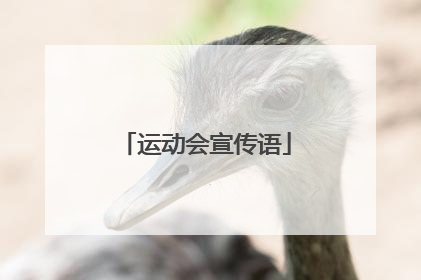 运动会宣传语