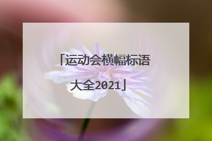 运动会横幅标语大全2021