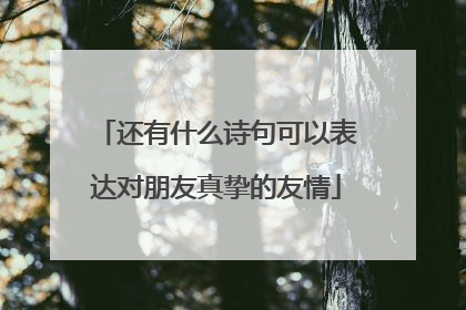 还有什么诗句可以表达对朋友真挚的友情