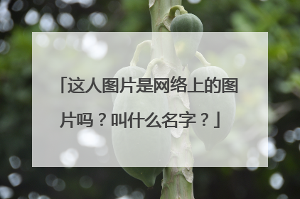 这人图片是网络上的图片吗？叫什么名字？
