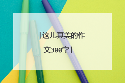 这儿真美的作文300字