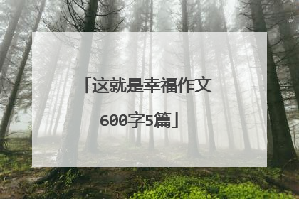 这就是幸福作文600字5篇