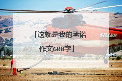 这就是我的承诺作文600字