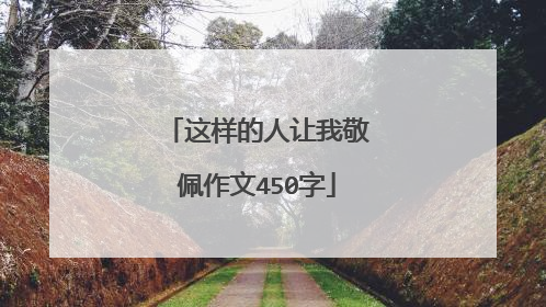 这样的人让我敬佩作文450字