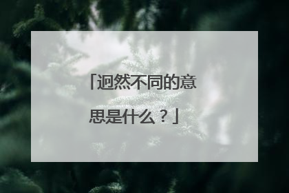 迥然不同的意思是什么?