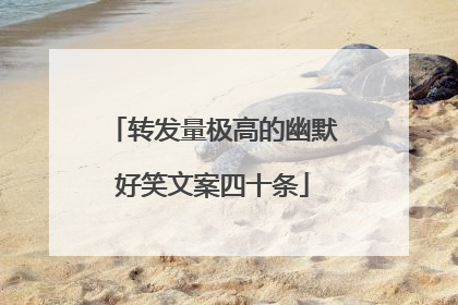 转发量极高的幽默好笑文案四十条
