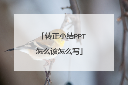 转正小结PPT怎么该怎么写