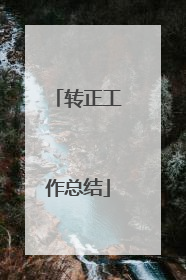 转正工作总结