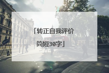 转正自我评价简短30字