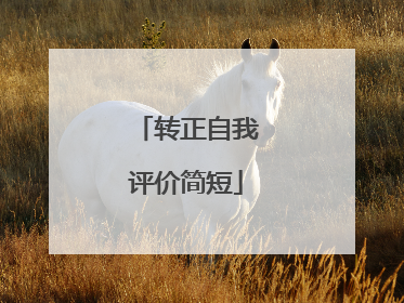 转正自我评价简短