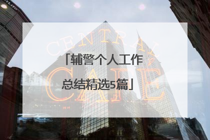 辅警个人工作总结精选5篇