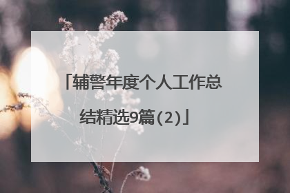 辅警年度个人工作总结精选9篇(2)