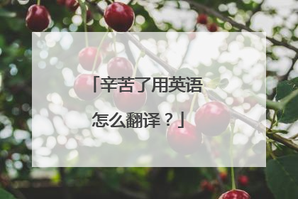 辛苦了用英语怎么翻译？