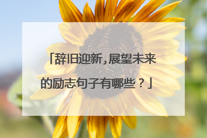 辞旧迎新,展望未来的励志句子有哪些？