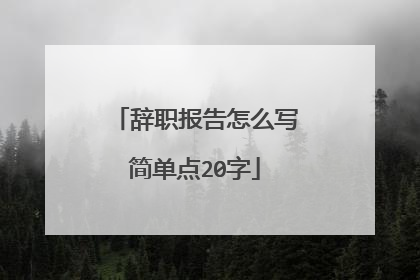辞职报告怎么写简单点20字