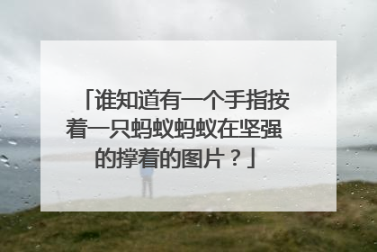 谁知道有一个手指按着一只蚂蚁蚂蚁在坚强的撑着的图片？