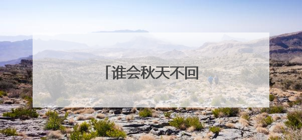 谁会秋天不回来的吉他扫弦