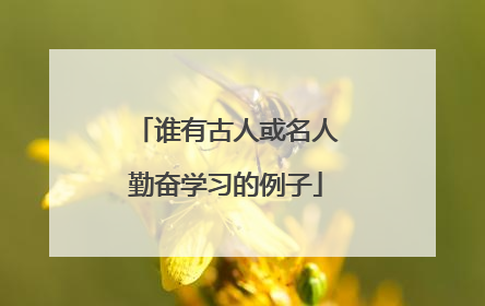 谁有古人或名人勤奋学习的例子
