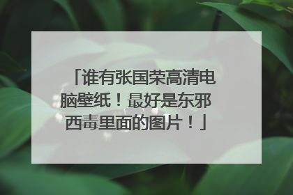 谁有张国荣高清电脑壁纸！最好是东邪西毒里面的图片！