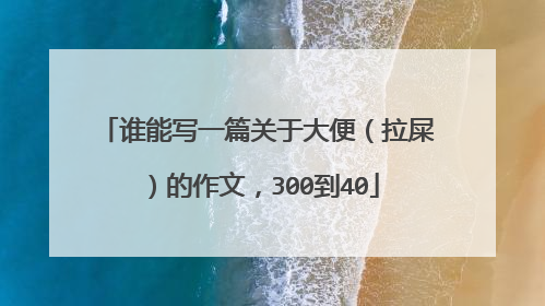 谁能写一篇关于大便(拉屎)的作文,300到40