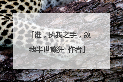 谁,执我之手,敛我半世癫狂 作者