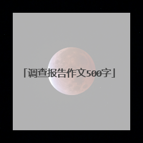 调查报告作文500字