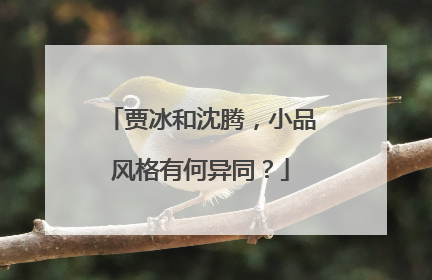 贾冰和沈腾，小品风格有何异同？