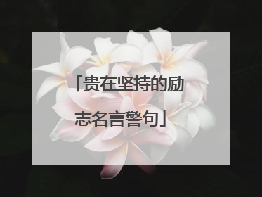 贵在坚持的励志名言警句