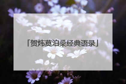 贺炜莫泊桑经典语录